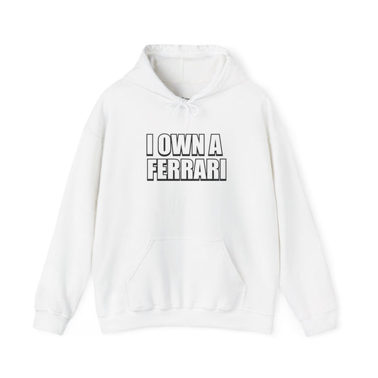 Hooded Sweatshirt - Meme Font 'I Own a Ferrari' with Lego Ferrari Back Design